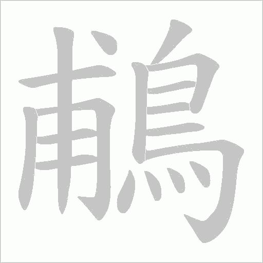 鵏字笔顺图