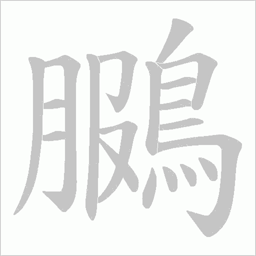 鵩字笔顺图