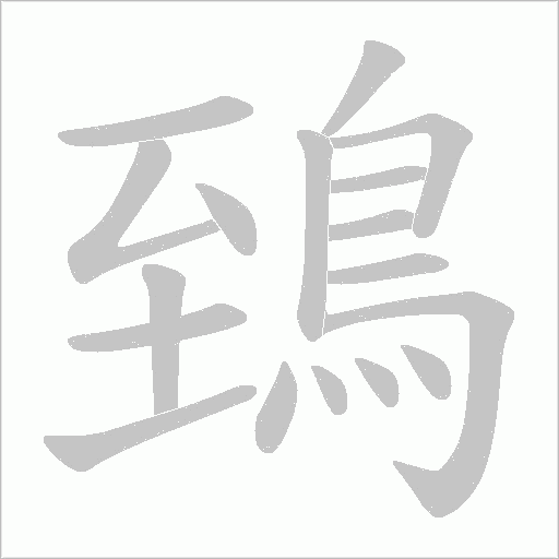 鵄字笔顺图