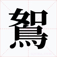 鴽字的字形和写法