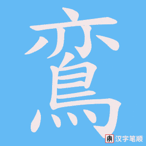 鵉字笔顺图