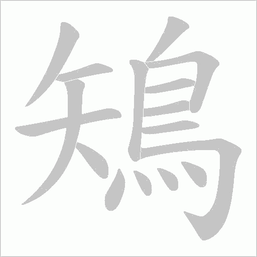 鴙字笔顺图
