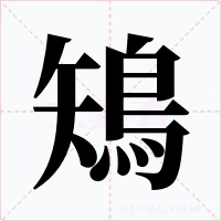 鴙字的字形和写法