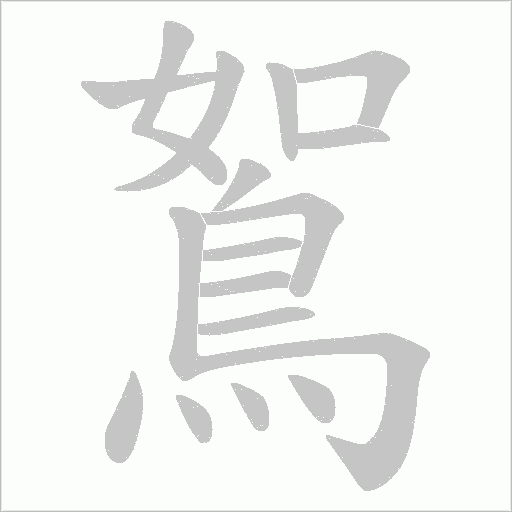 鴽字笔顺图