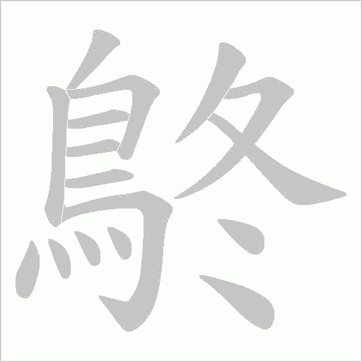 鴤字笔顺图