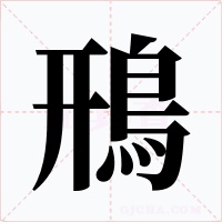 鳽字的字形和写法