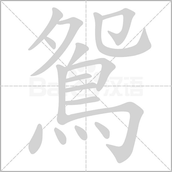 鴛字笔顺图