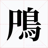 鳲字的字形和写法