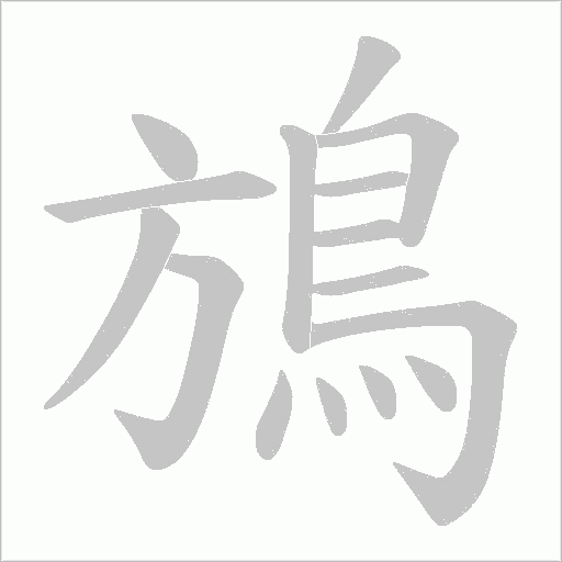 鴋字笔顺图