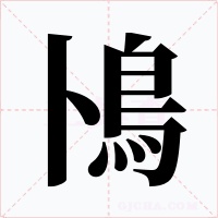 鳪字的字形和写法