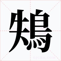 鴩字字形