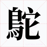 鴕字的字形和写法