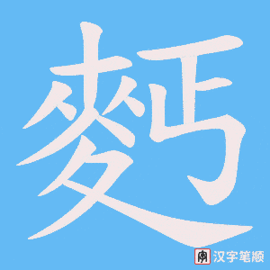 麫字笔顺图