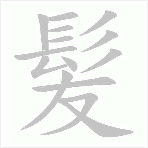 髪字笔顺图
