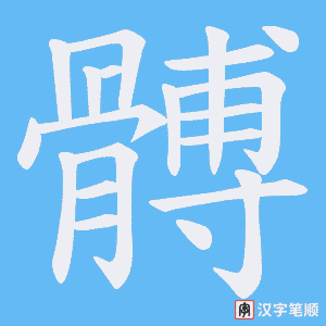 髆字笔顺图