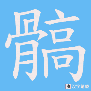 髇字笔顺图