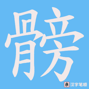髈字笔顺图