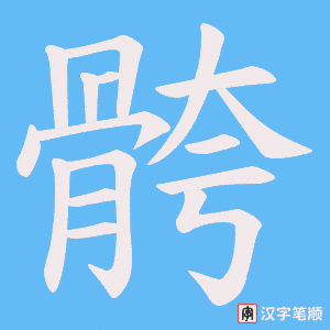 骻字笔顺图