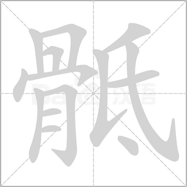 骶字笔顺图