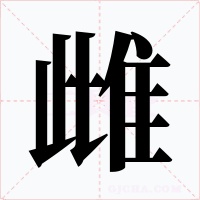 雌字的字形和写法