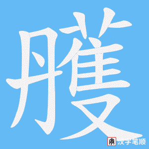 雘字笔顺图