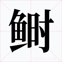 鲥字的字形和写法