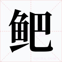鲃字字形