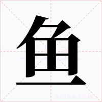 鱼字的字形和写法