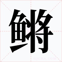 鳉字的字形和写法