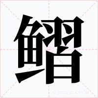 鳛字字形