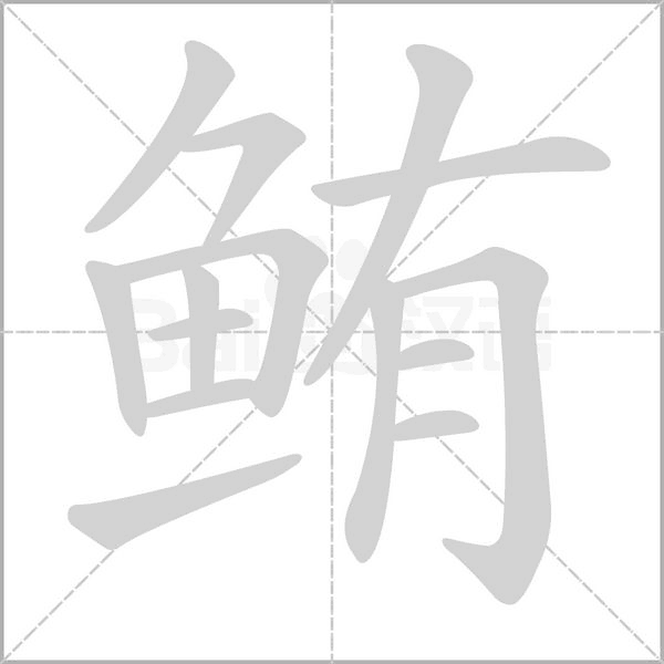鲔字笔顺图