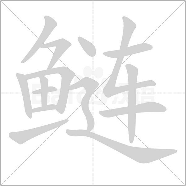 鲢字笔顺图