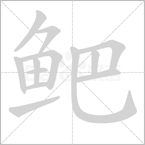 鲃字笔顺图