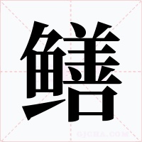 鳝字字形
