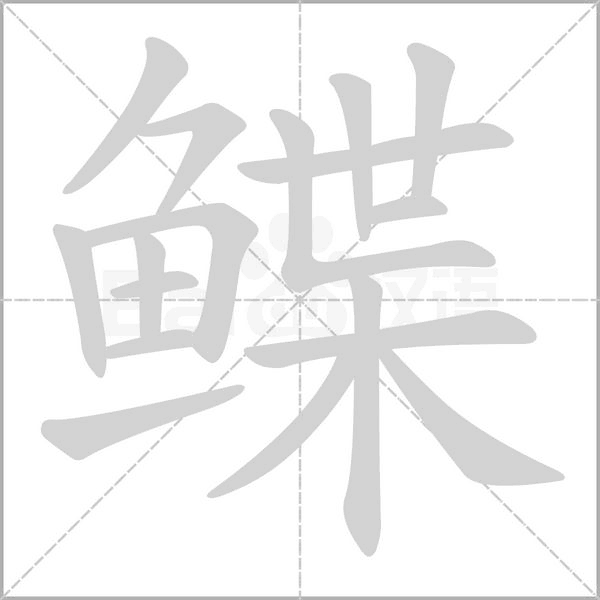 鲽字笔顺图