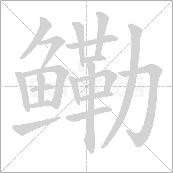鳓字笔顺图