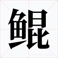 鲲字的字形和写法