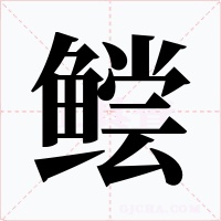 鲿字的字形和写法
