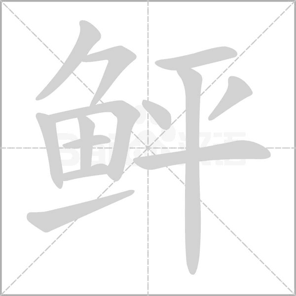 鲆字笔顺图