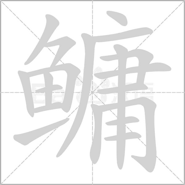 鳙字笔顺图