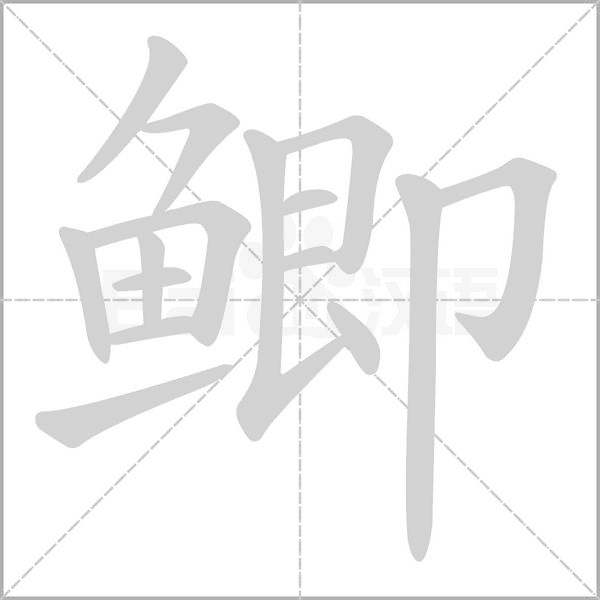 鲫字笔顺图