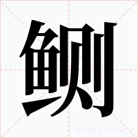 鲗字字形