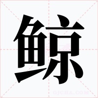 鲸字字形