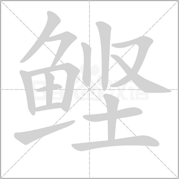 鲣字笔顺图