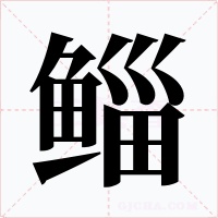 鲻字字形