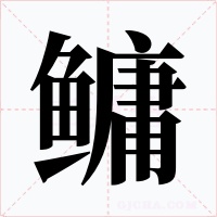 鳙字的字形和写法
