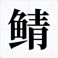 鲭字字形