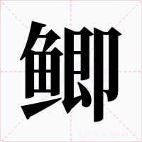 鲫字的字形和写法