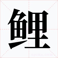 鲤字的字形和写法