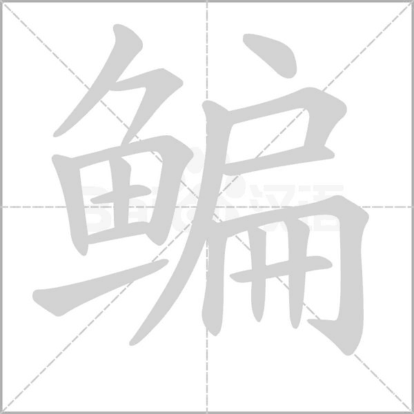 鳊字笔顺图